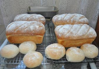 Sourdough bread and buns