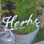 Visit our gardens...perennial herbs, miniature plants and flowers to enjoy.