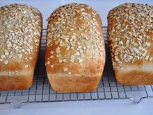 Oatmeal Bread